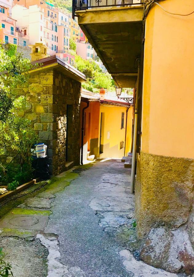 Willy'S Apartment Manarola Luaran gambar